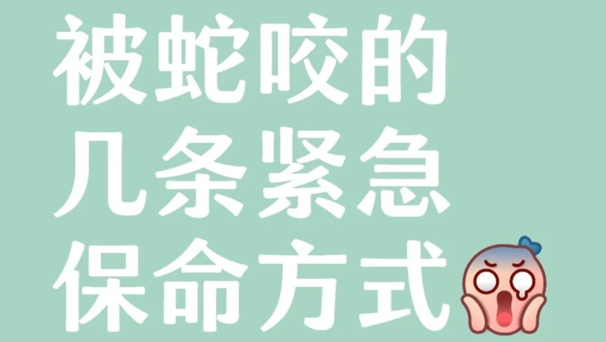 澳门免费资料大全奥门一,挑战无限暖暖大喵舞,精准解释落实及其象征意义_内测版V5.68