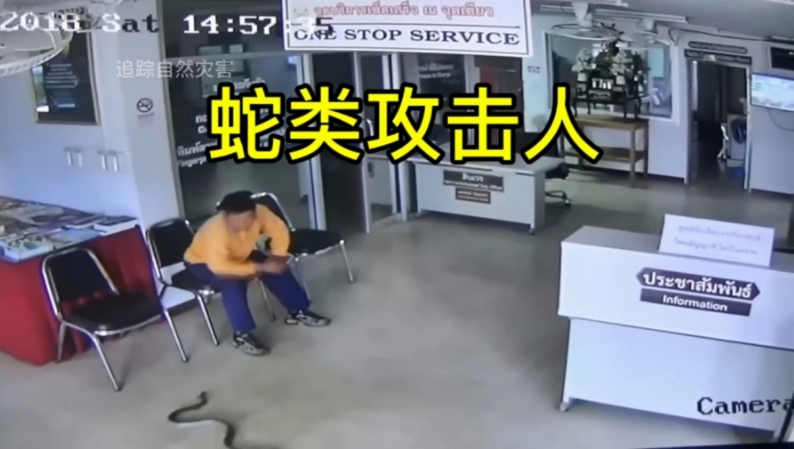泽连斯基被要求提前离开白宫,2025今晚新澳六我奖香港,整体规划执行讲解_极速版V7.75